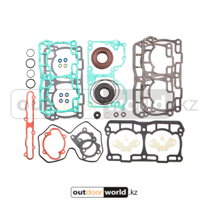Комплект прокладок двс 850 E-TEC