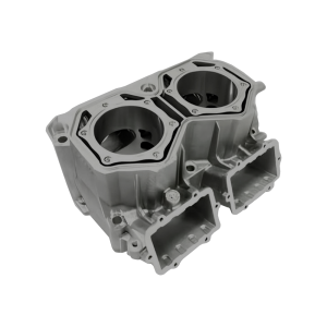 Блок цилиндров двигателя 850 E-TEC