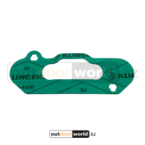 Прокладка RAVE клапана