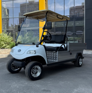 Гольфкар 2-мест. TURFMAN 1000 Грузовой