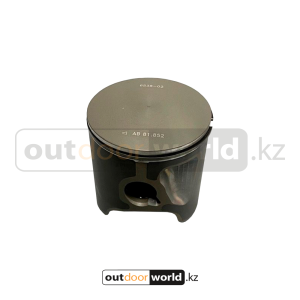 Поршень в сборе с кольцом для 850 E-TEC