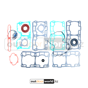 Комплект прокладок и сальников двигателя
