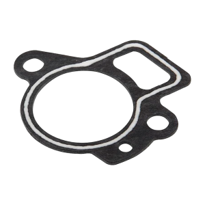 Прокладка крышки термостата 9,9-60HP