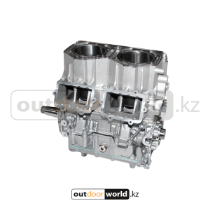 Шорт блок двс 850R E-TEC