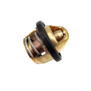 Термостат AODES