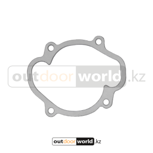 Прокладка помпы 850 E-TEC