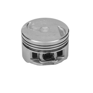 Поршень в сборе