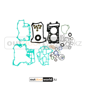 Комплект прокладок 600 ACE