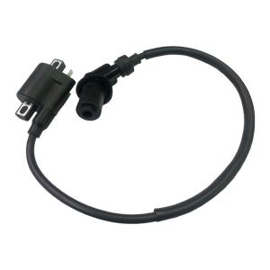 Катушка зажигания RY8