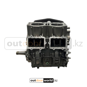 Шорт блок двс 849 E-TEC