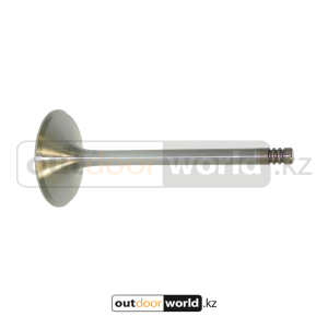 Клапан впускной