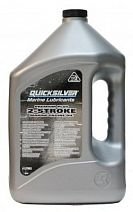 Масло моторное 2-х тактное Premium Plus 2cycle Outboard Oil (4л)