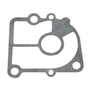 Прокладка зеркала помпы 9.9-18HP 2S Carb