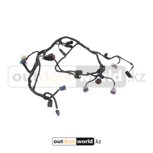 Электропроводка главная G4