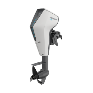 Подвесной лодочный мотор  Avator 3,5 7,5 EXLH Electric Kit Электрический