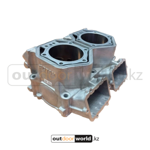 Блок цилиндро 800 E-TEC NI SI