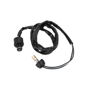 Кнопка ключа DESS