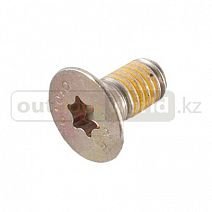 Болт TORX CTSK.FL.HD.S.GRIP M8 X 16