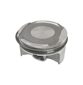 Поршень 73,985 мм 600 ACE