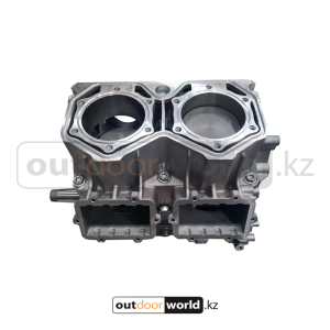 Шорт блок двс 850R E-TEC