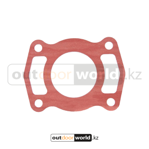 Прокладка цилиндра