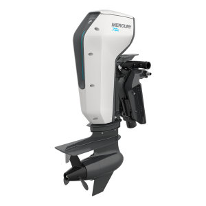 Подвесной лодочный мотор  Avator 10 75E LRCPT Kit Электрический