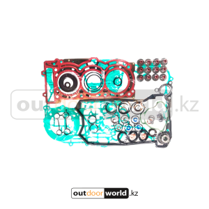 Набор прокладок и уплотнительных элементов ДВС