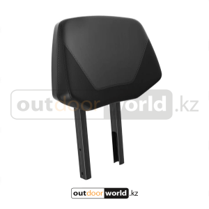 Спинка сиденья пассажира G5,G4