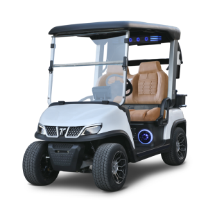 Гольфкар 2-мест. Tara Spirit Plus Для гольфа Белый