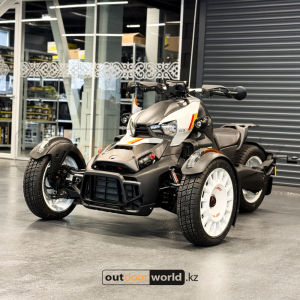 Трицикл  Can-Am Ryker Rally Edition 900 ACE Черный 2023 комплект