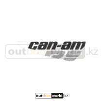 Наклейка Can-Am на левую дверь X3